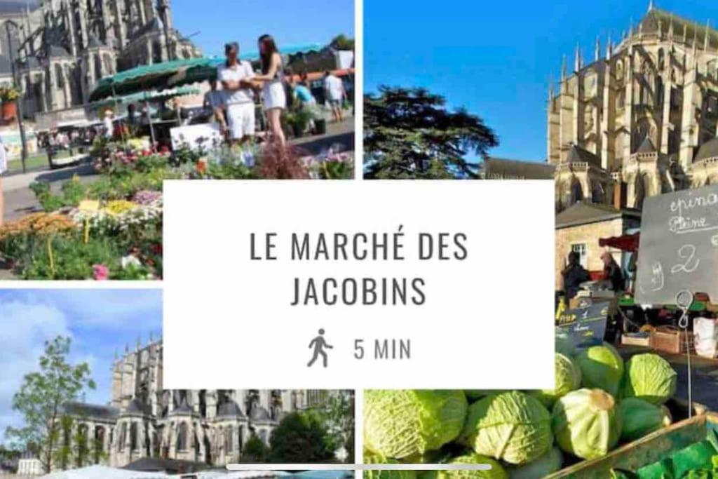 Appartements De Standing Centre Ville, Gare, Jardin,Terrasse Le Mans Luaran gambar